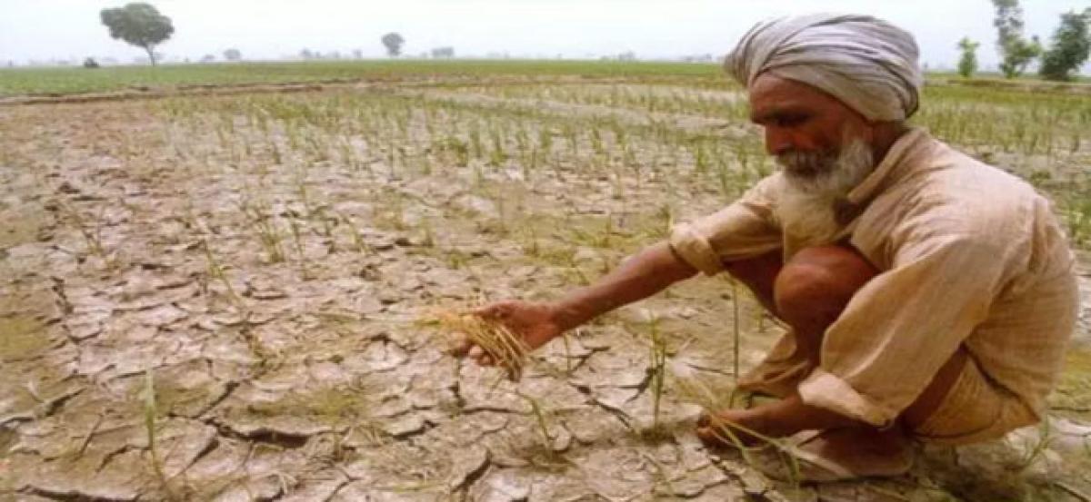 Telangana announces Rytu Lakshmi scheme for farmers