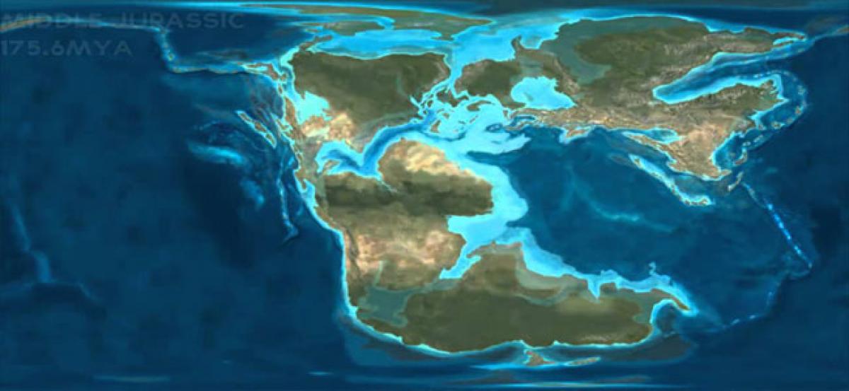 Fossil site shows impact of Jurassic’s low oxygen oceans