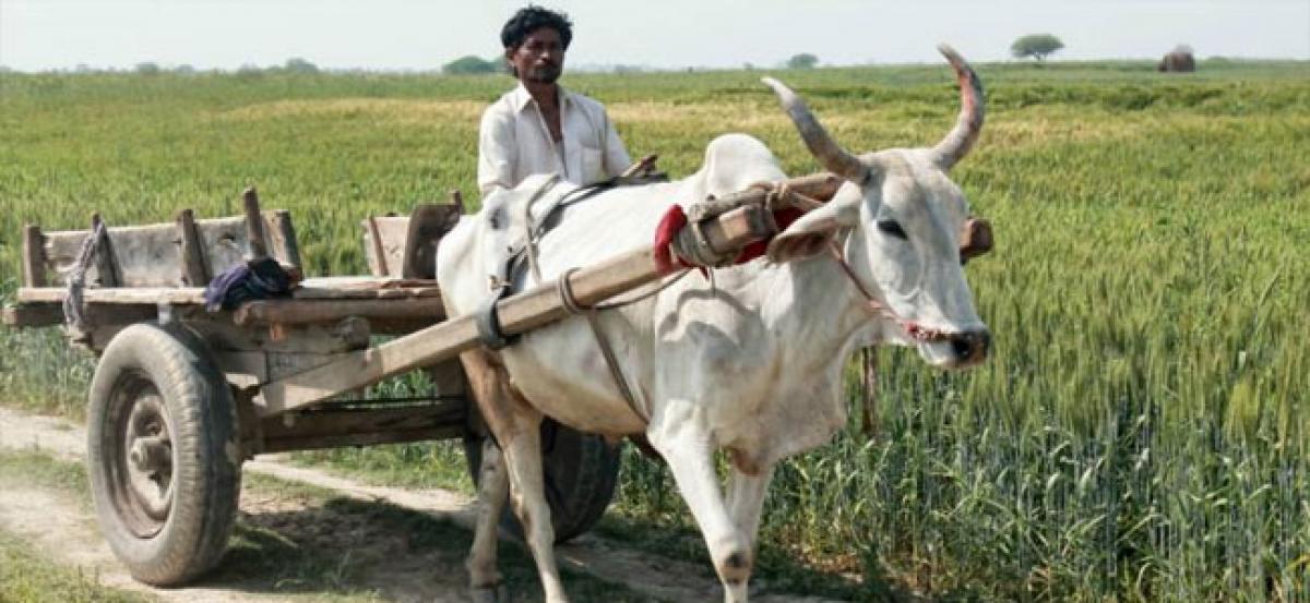 Being behind bars no bar for farmer-prisoners to seek loan waiver