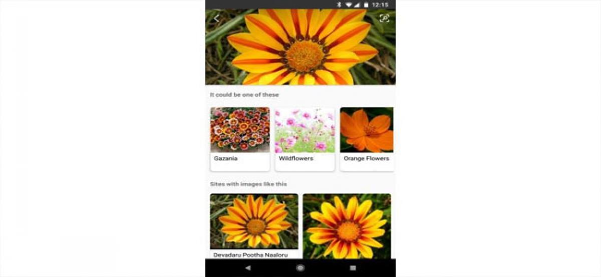 Microsoft updates Bing visual search with Google Lens-like AI