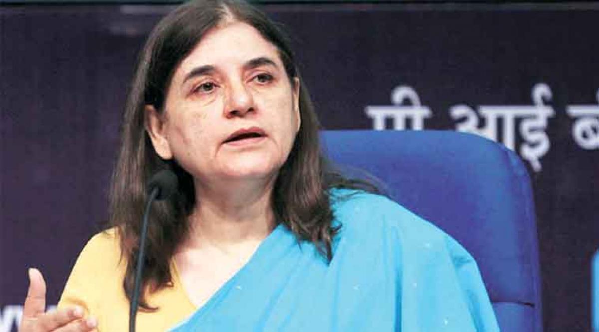 Maneka Gandhi suggests legalising marijuana for medical purposes