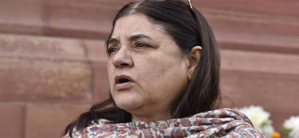 Maneka Gandhi wants special police cells to deal with sexual offences