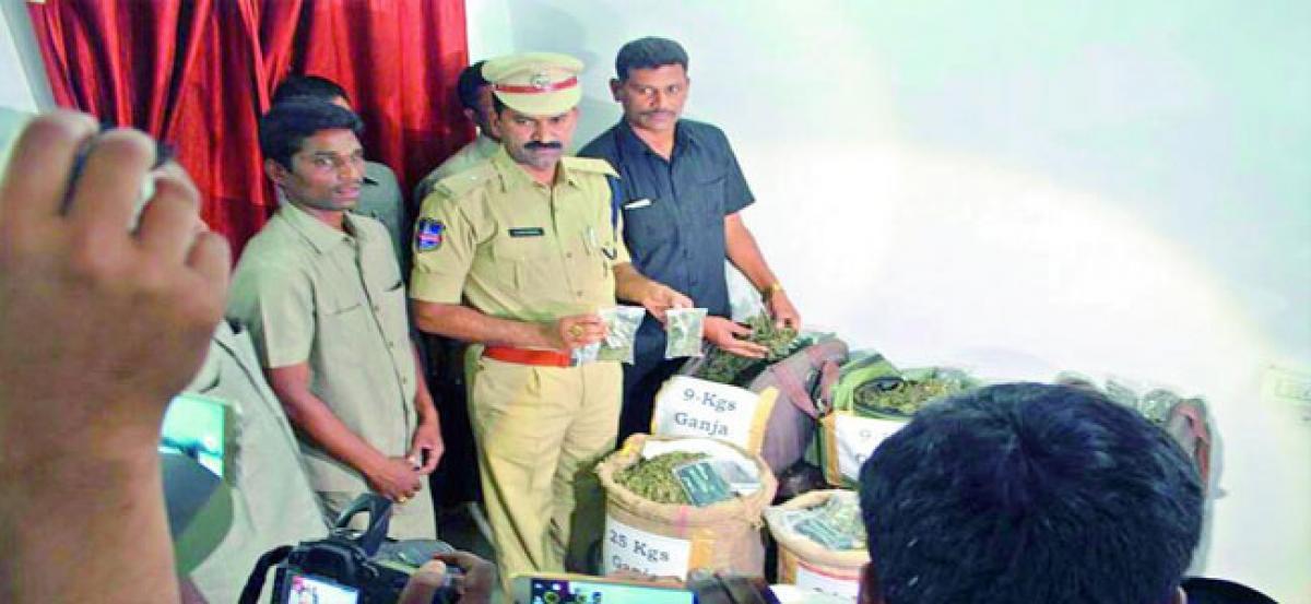 100 kg ganja seized, 3 held