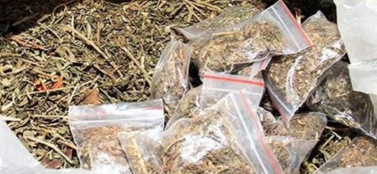 Ganja peddlers brazen it out near police station