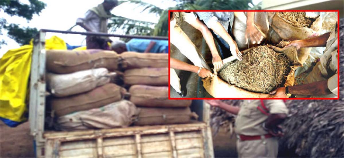 200 kg ganja from Vizag seized at Nellore