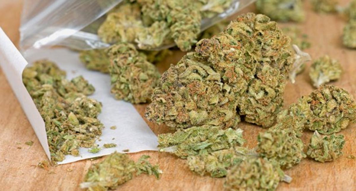 Nine held for selling ganja