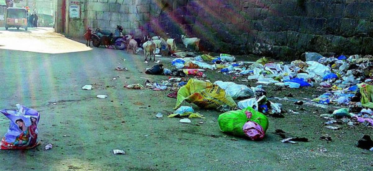 GHMC: Nanal Nagar crossroads stink with garbage