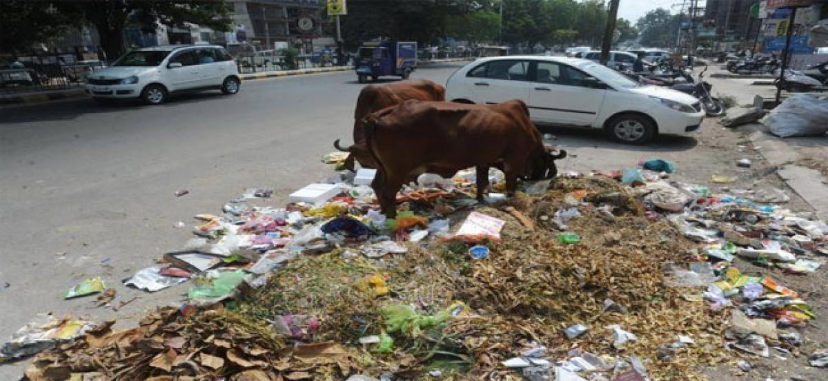 Segregation of garbage not implemented in Secunderabad