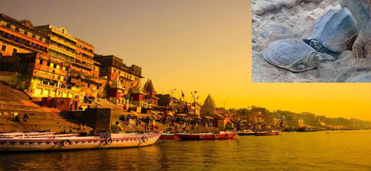 The challenge of Ganga