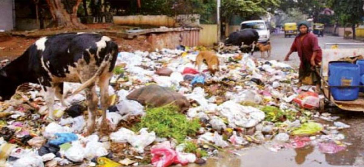 Delhi burying in garbage, Mumbai sinking under water but govt doing nothing: Supreme Court