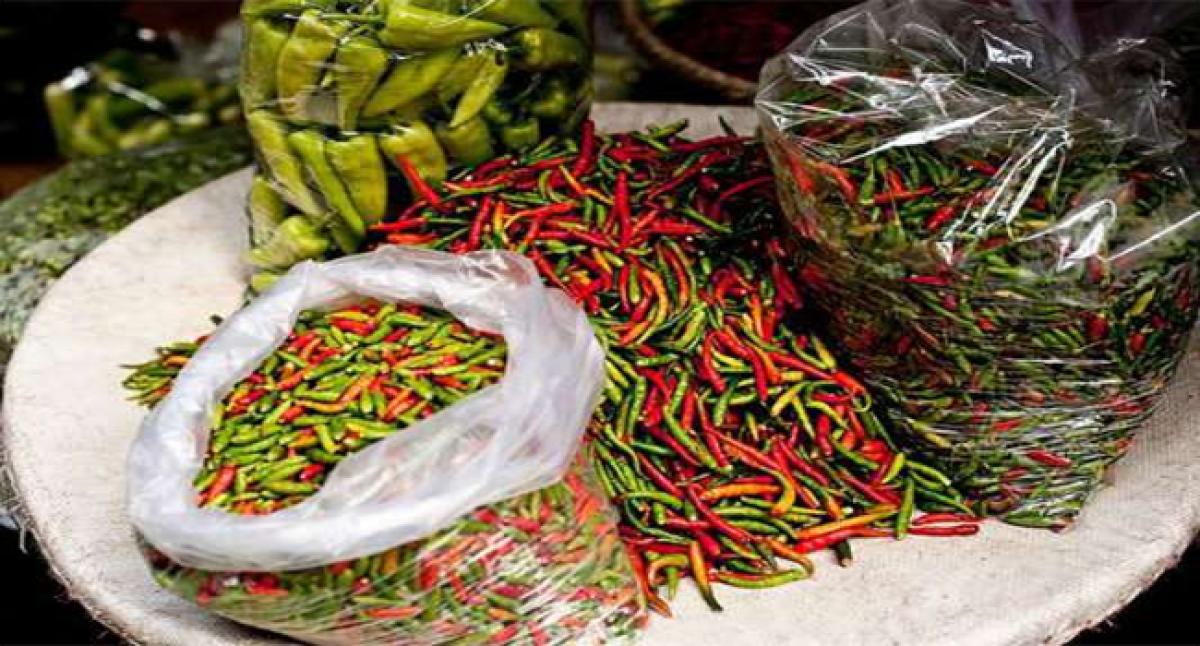 Green chilli sold for 400 a kg in Kochi