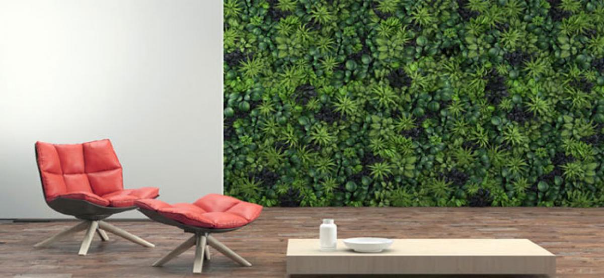 Play with colours, greenery on walls for cool environs