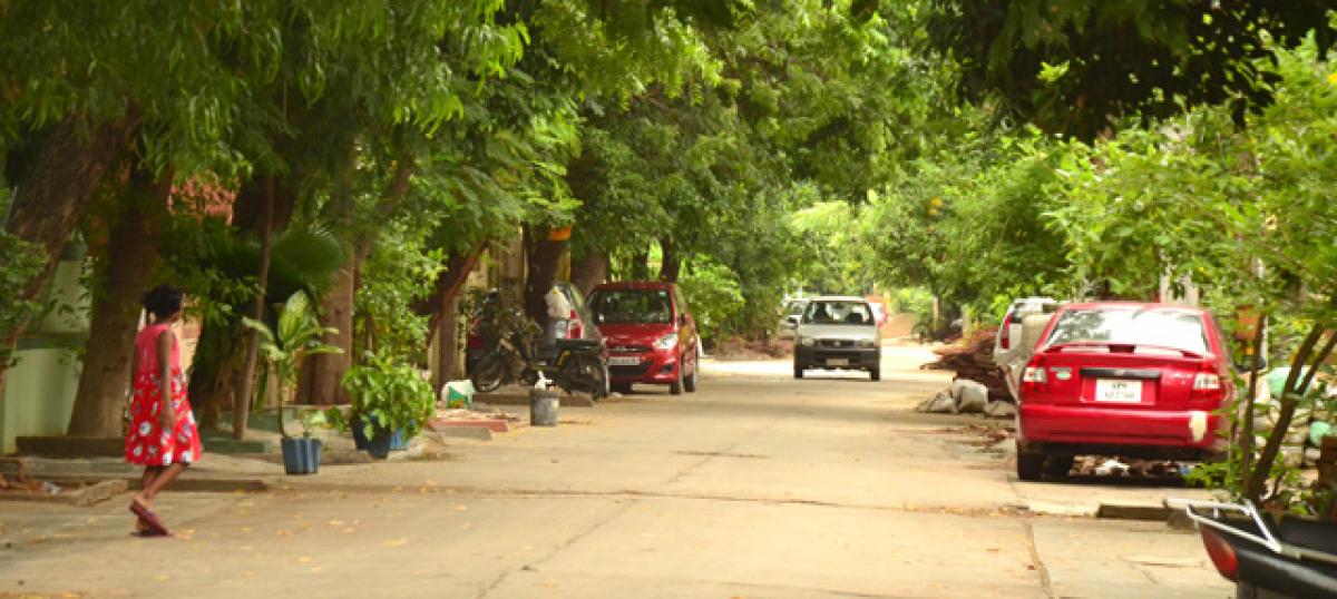 A role model colony for greenery