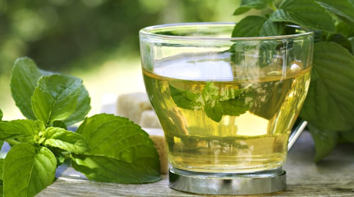 Heres why you should drink green tea