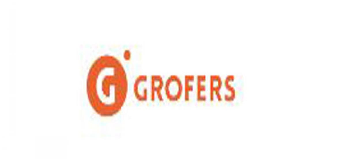 Grofers envisions Rs.2500cr-worth revenue by 2019