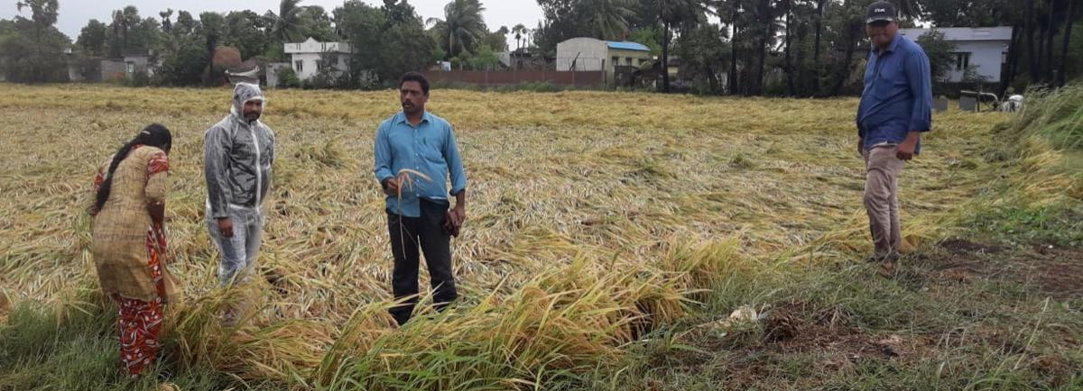 Farmers bear brunt of cyclone