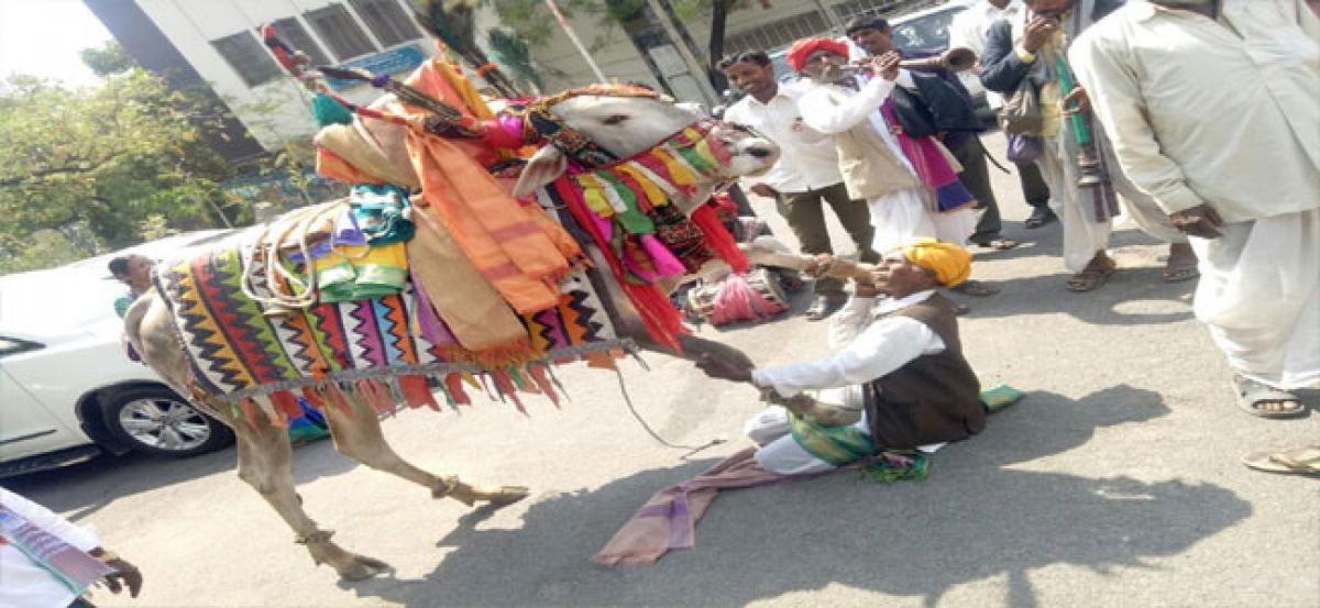 State asked to rescue nomadic tribes
