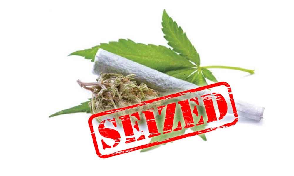 100 grams dry ganja seized from a peddler in Charminar Excise station limits on Tuesday