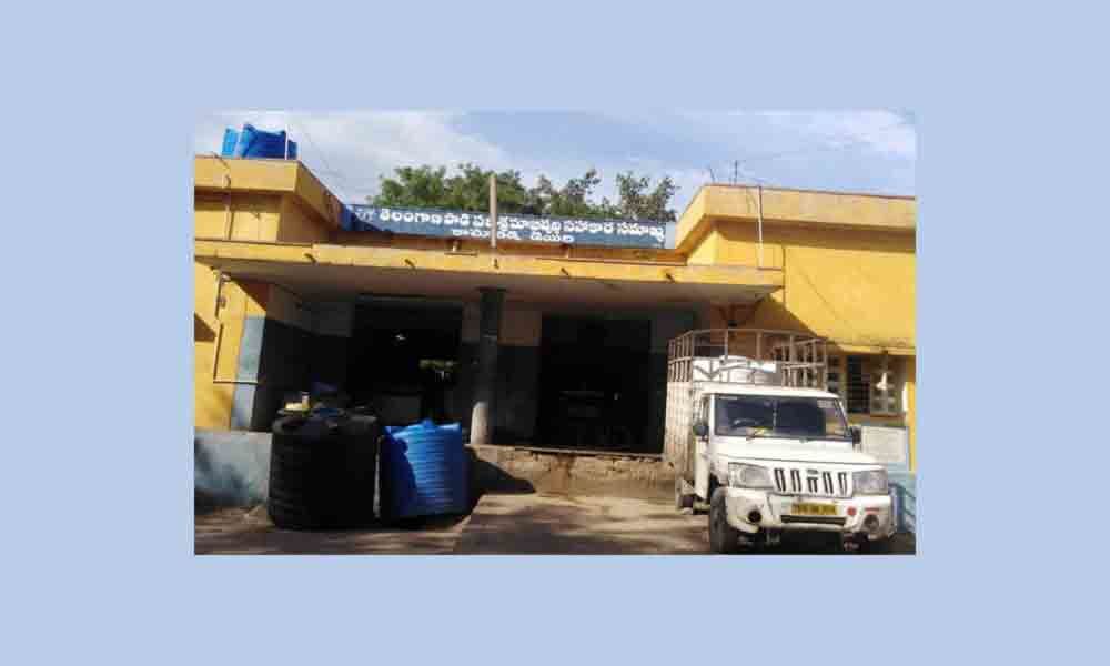 Kamareddy: Vijaya Dairy parlour in every mandal soon