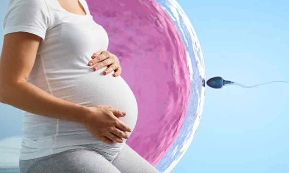 Making IVF process easy