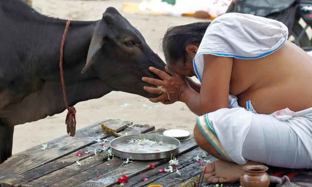 Only cow inhales, exhales oxygen: Uttarakhand CM Trivendra Singh Rawat
