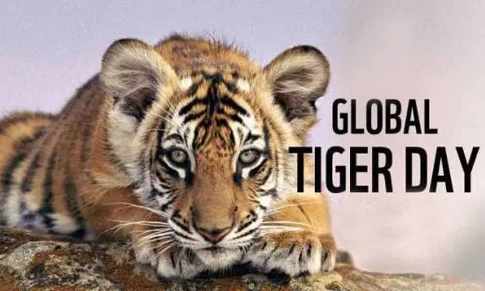 Over 400 children take part in Global Tiger Day fete