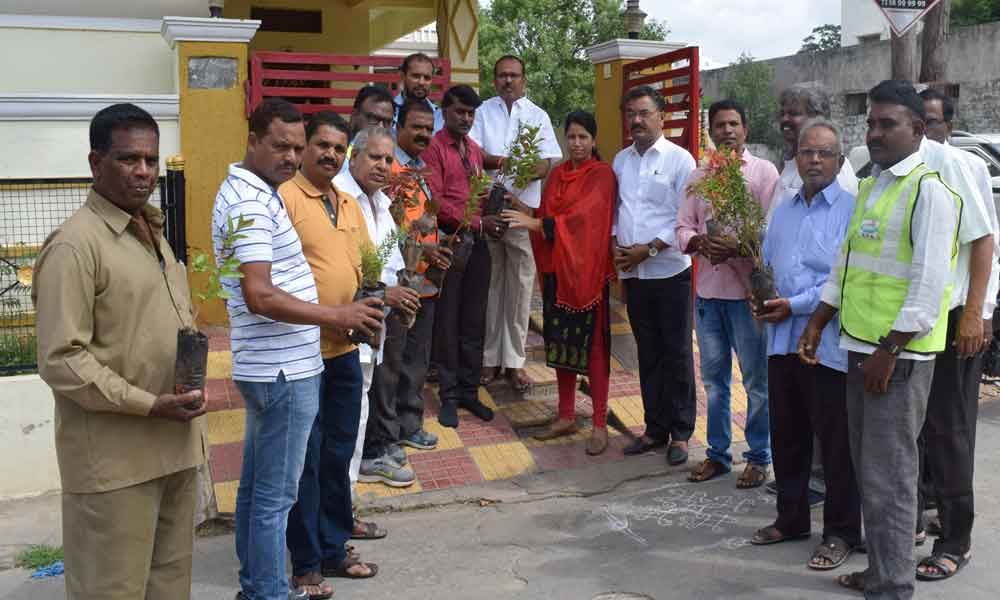 Corporator Padma distributes saplings