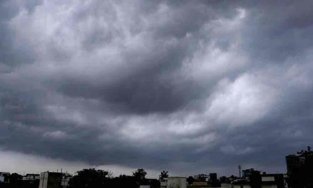 Monsoon active in Krishna district; sowing activity picks up