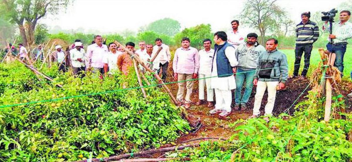 Hailstorms: Maharashtra seeks Rs 200 crore in aid from Centre