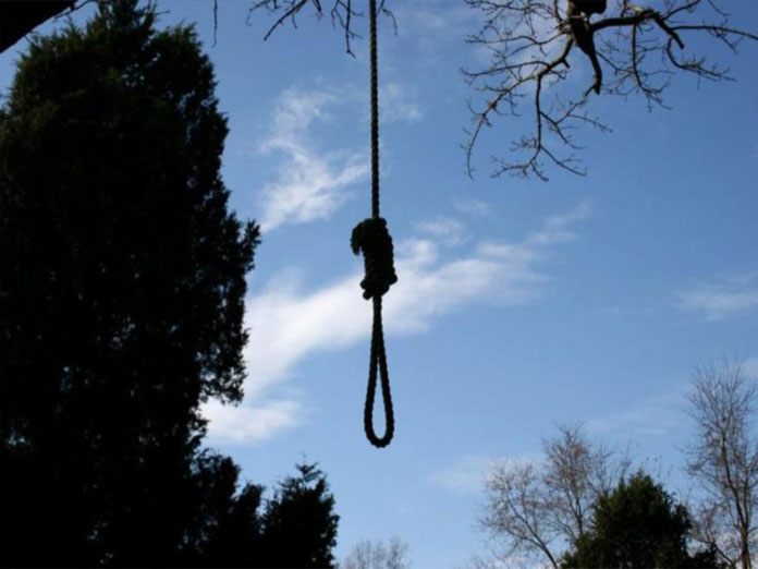 Body found hanging from tree