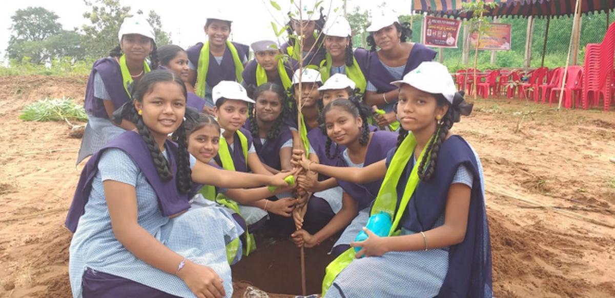 ZPHS students take part in Haritha Haram at Kothagudem