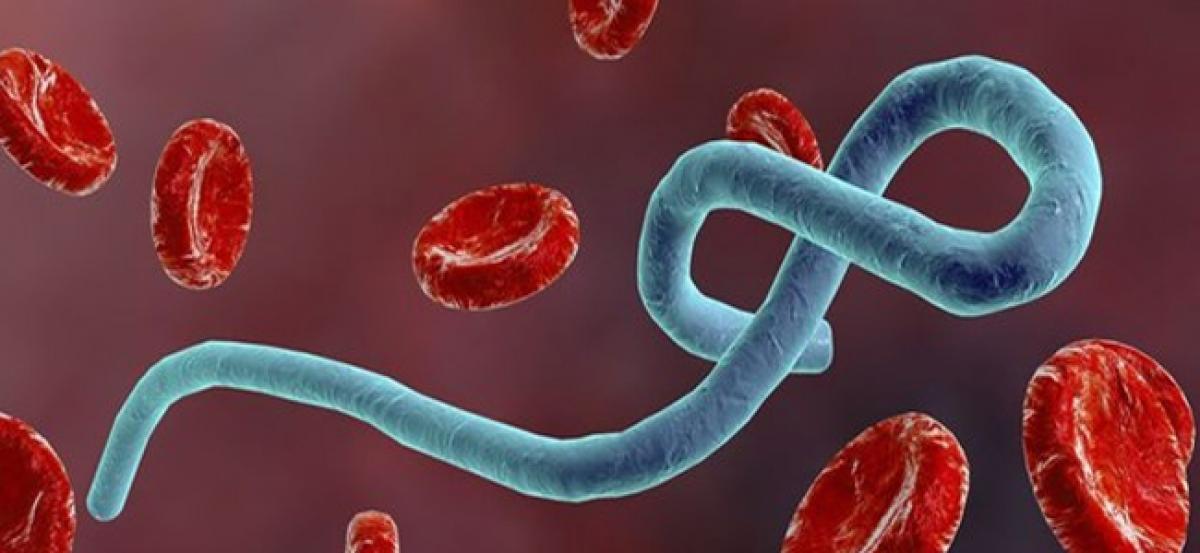 Semen can cause Ebola virus disease