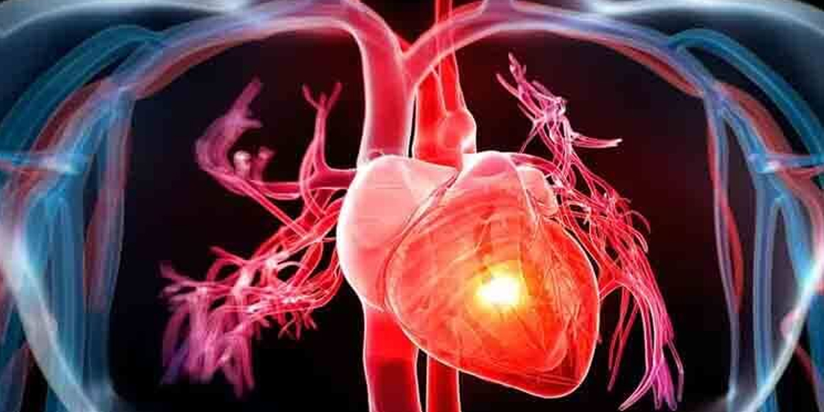 New sensor can monitor heart cells with minimal disruption