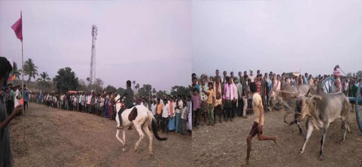 Horse races a fad in village festivals in Vizianagaram