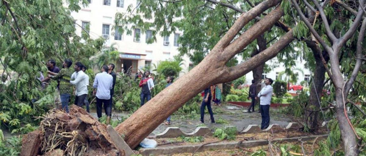 Sudden downpour brings summer respite in Hyderabad