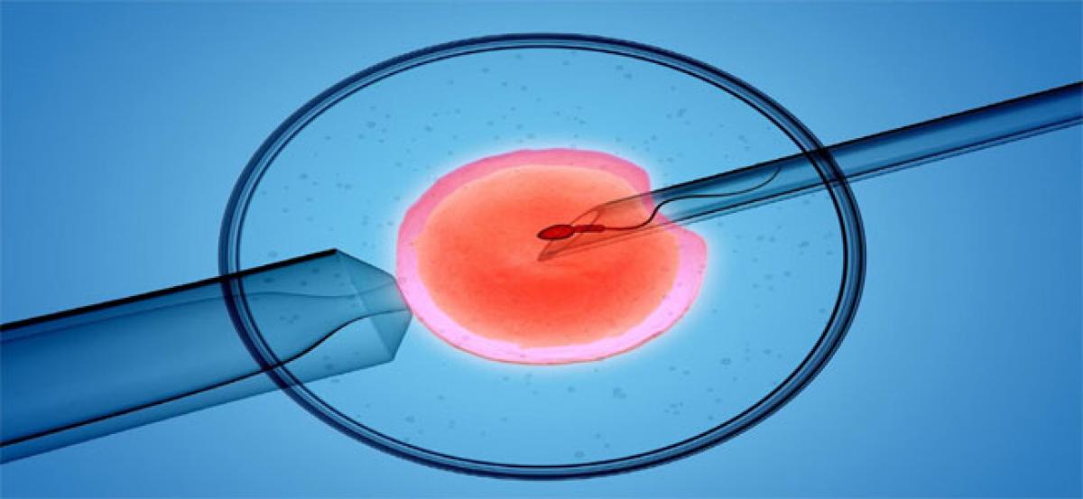 IVF comes as boon to career women