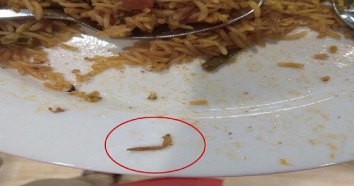 Insect Found In Biryani at IKEA restaurant