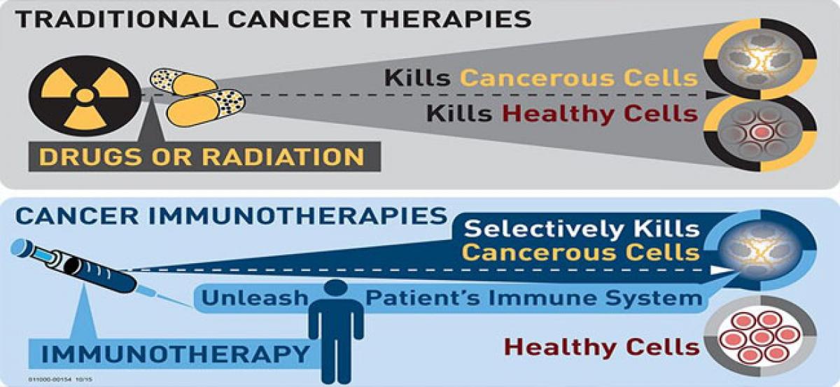 A safe immunotherapy for lung cancer