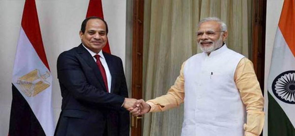 India-Egypt made steady progress: Indian envoy