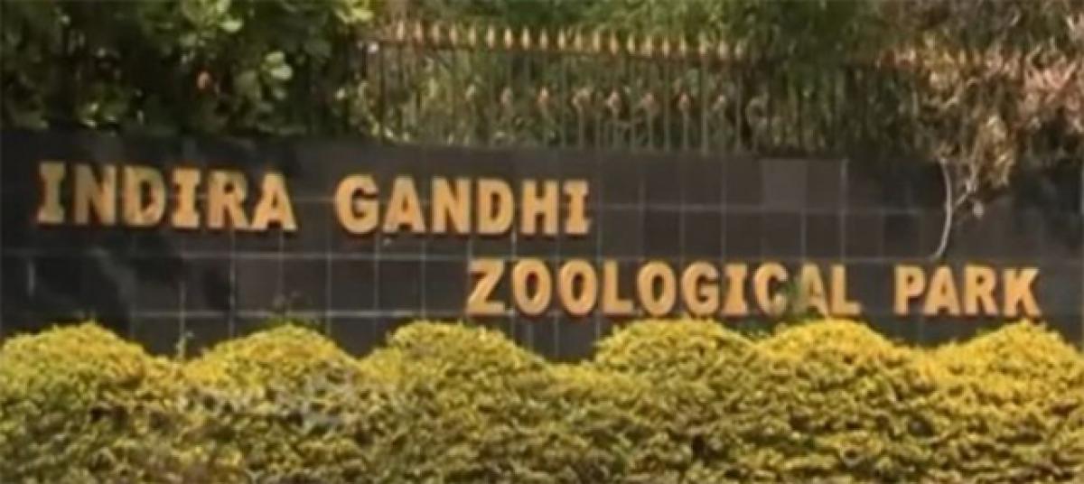 Zoo park conducting contest for schoolkids