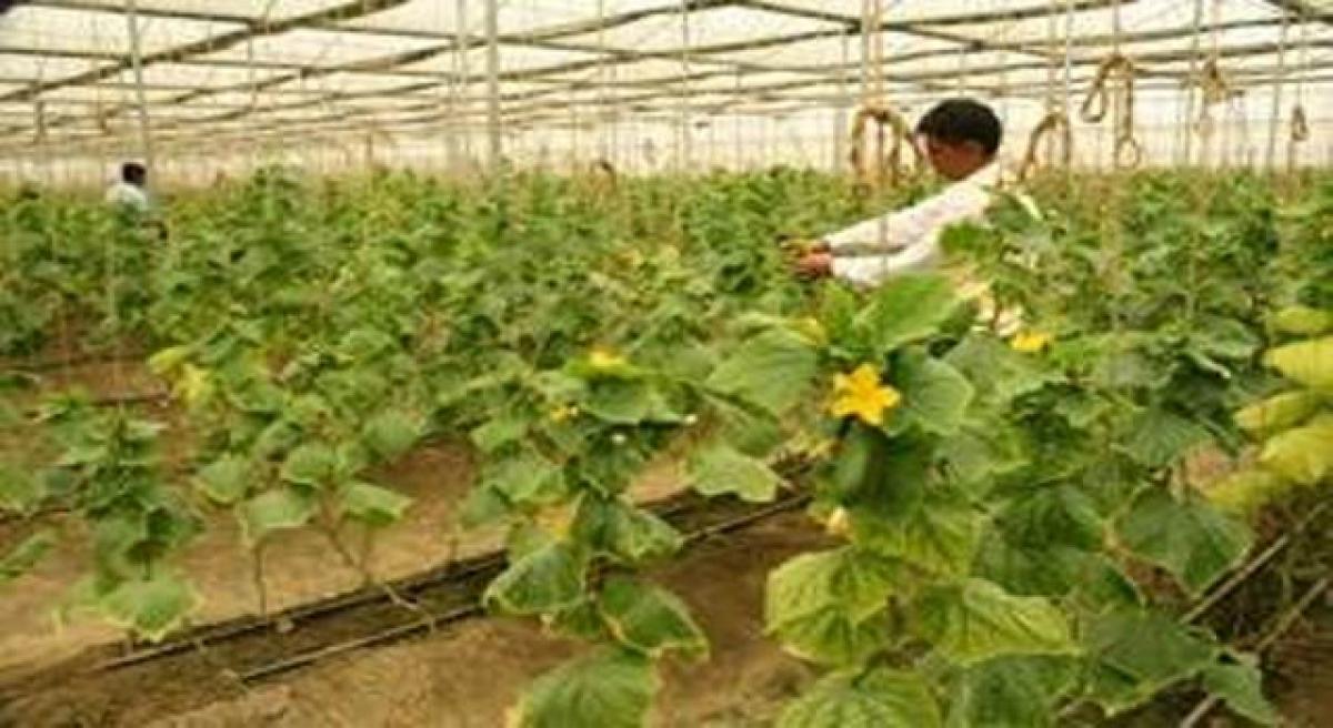 Israeli technology for Indian farmers