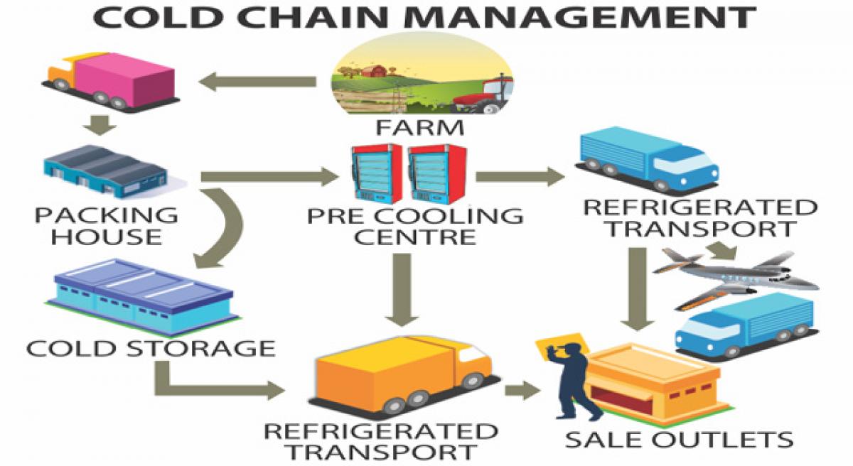 Cold chain a hot investment idea