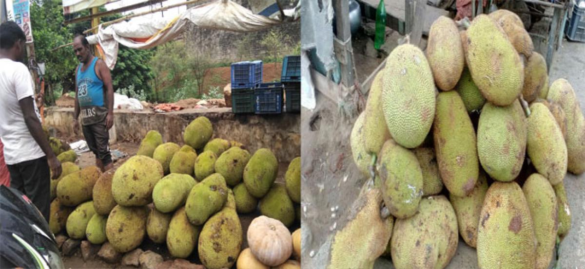 Jackfruit prices nosedive on robust supplies