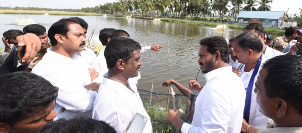 Jagan assures power supply at 1.50 per unit to prawn farmers