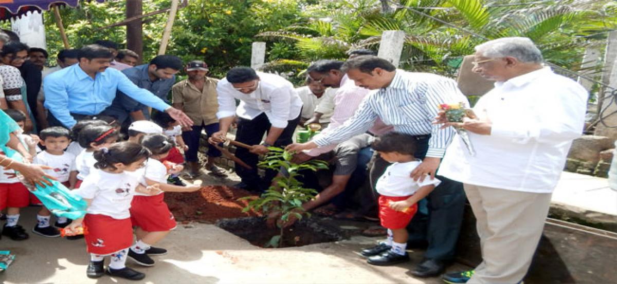 Gadde Rammohan Rao,civic chief plant saplings