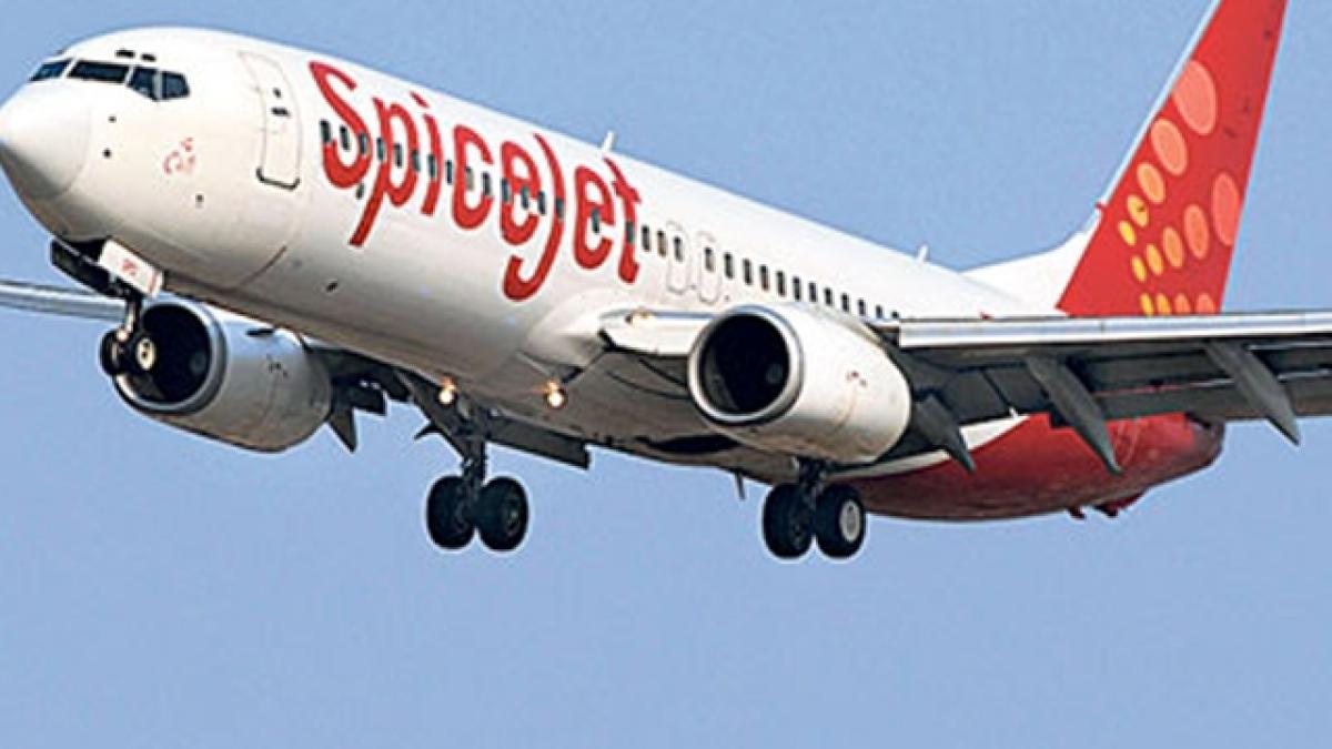 Delhi: Man detained for carrying kitchen knife in Delhi-Goa SpiceJet flight