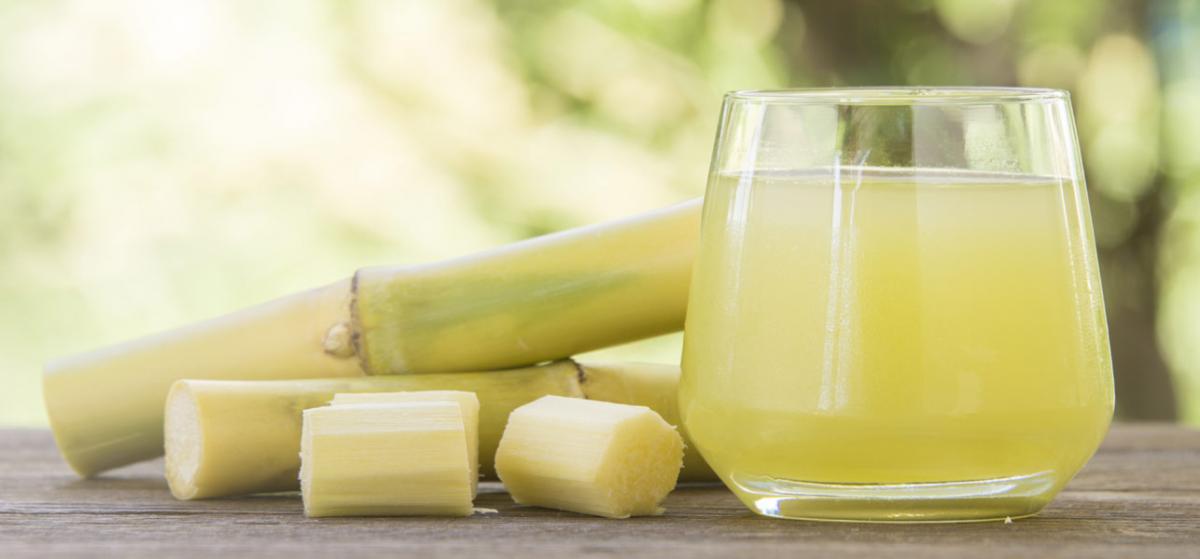 Sugarcane component cuts stress, increases sleep