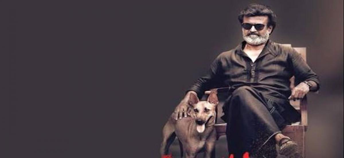 Kaala Collection Report In Australia