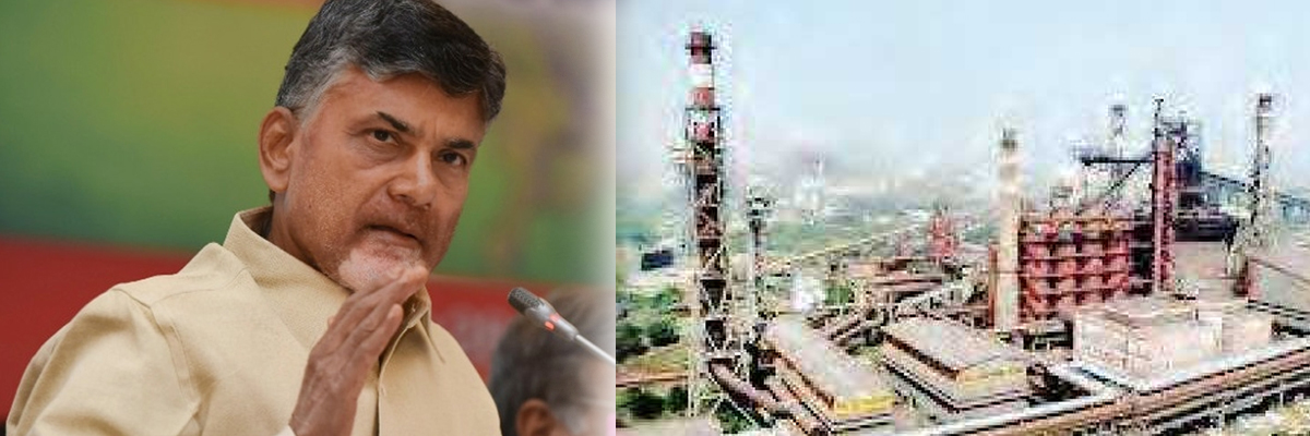 Chandrababu Naidu lays foundation for Kadapa steel plant
