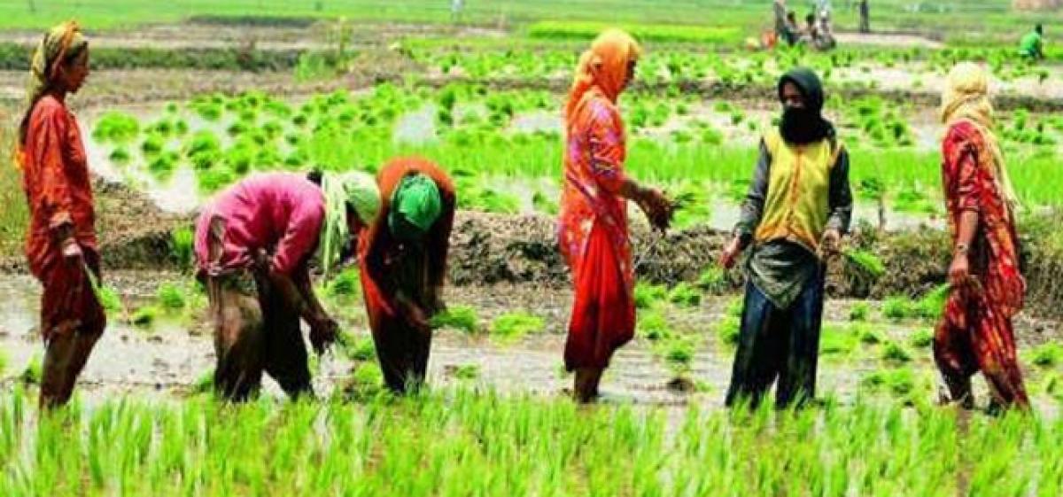 Kharif season advanced to avoid cyclone fury